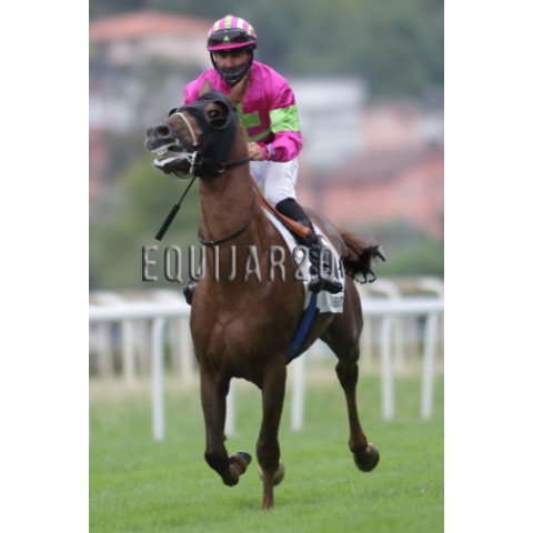 Heros de Vialettes (PSA)