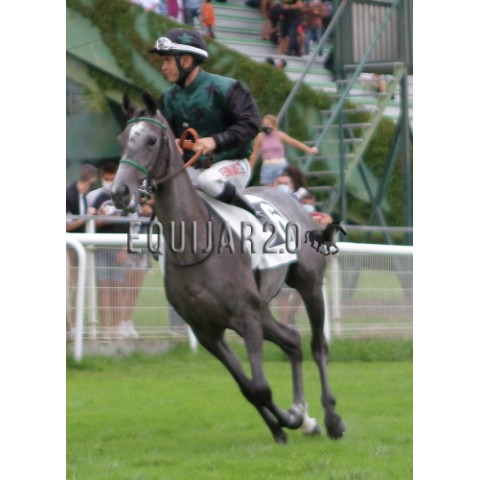 Ideale de Bozouls PSA