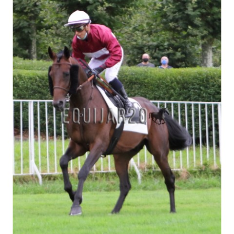 Syvalereu Al Maury PSA