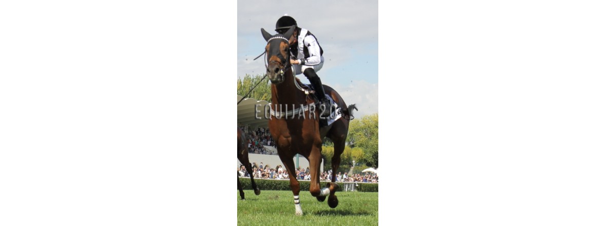 Informe I: White Bay