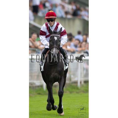 Elighe de Zamaglia (PSA)