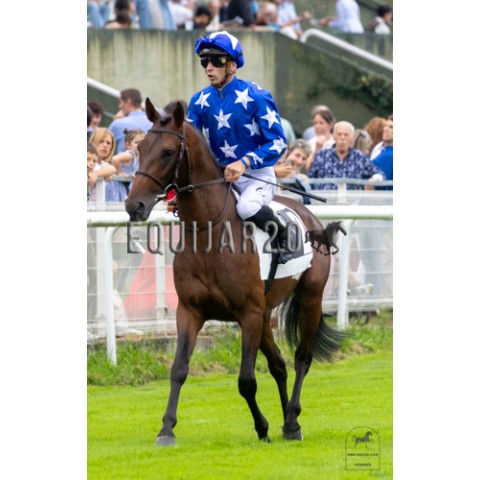 Namour Al Shahania (PSA)