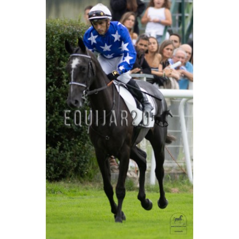 Damerat Al Sahania (PSA)