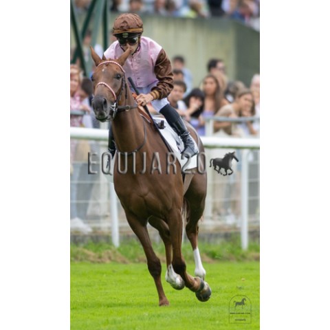 Klarine de Ghazal (PSA)