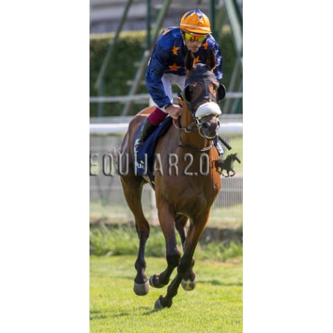 Kanti de Bouzouls (PSA)