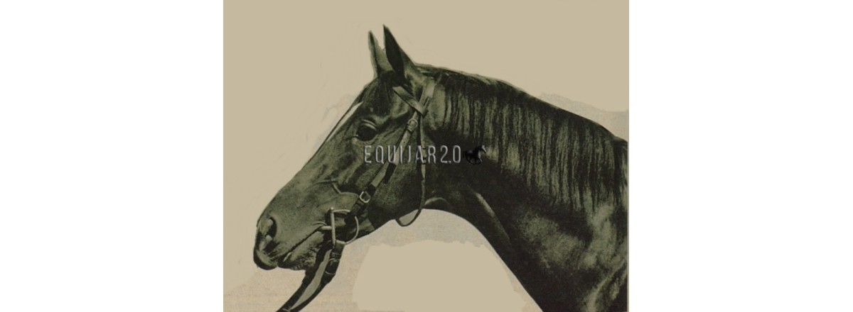 1934 Bobi de Fernando Pla Peñalver-Marqués de Amboage