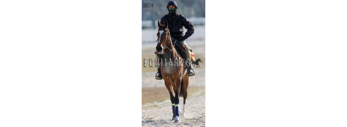 Informe III Perdido bajo la lluvia