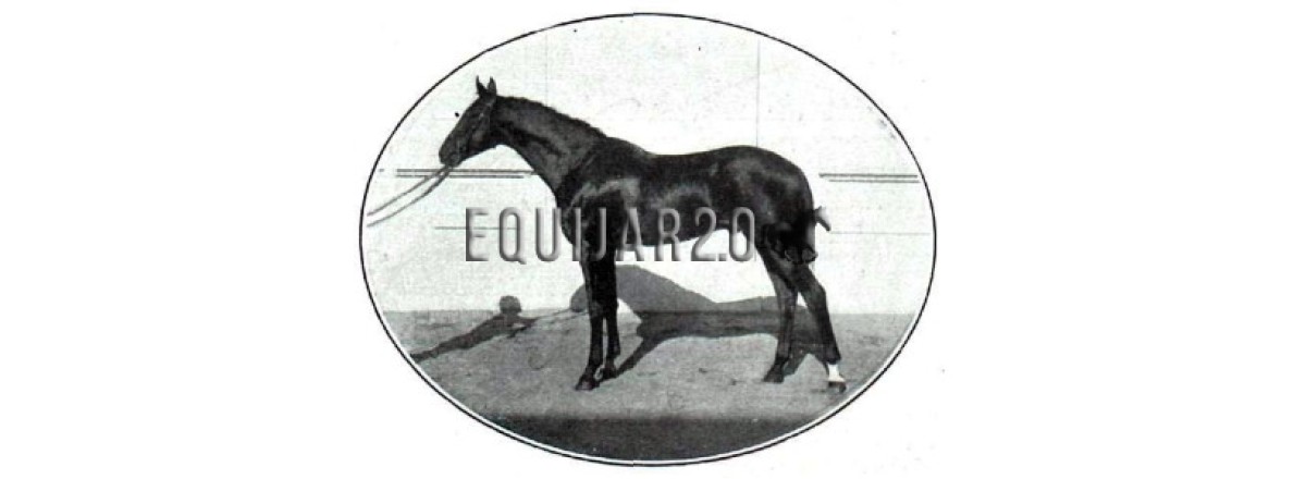 1914 Huracán Andría-Torrepalma I