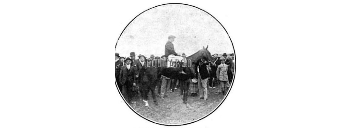 1916 Cynthia D.Justo San Miguel I