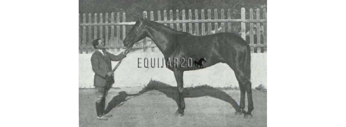 1923 Hidalgo Joseph Lieux I