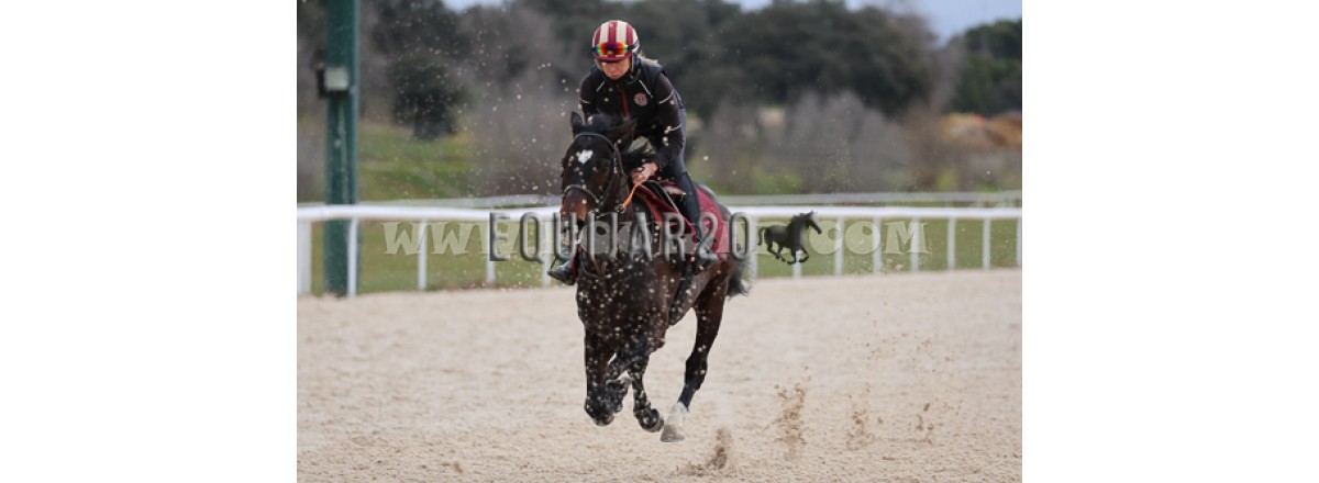 Alcaraz en ruta hacia Arabia