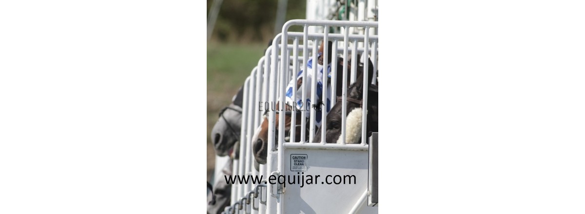 Reflexiones que no le importan a nadie