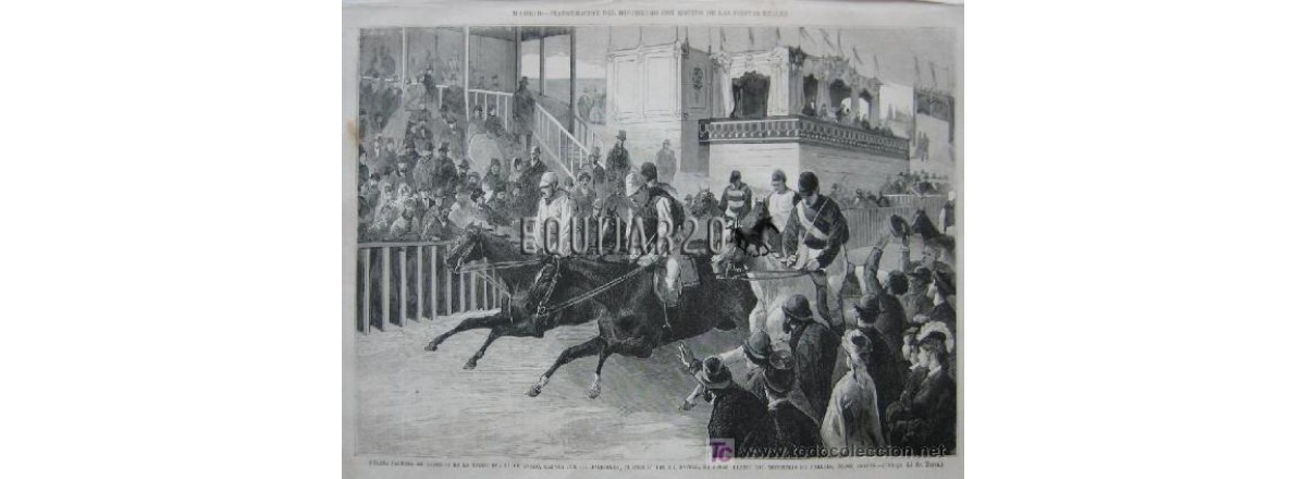 Hipódromo de Zaragoza ( San Gregorio)