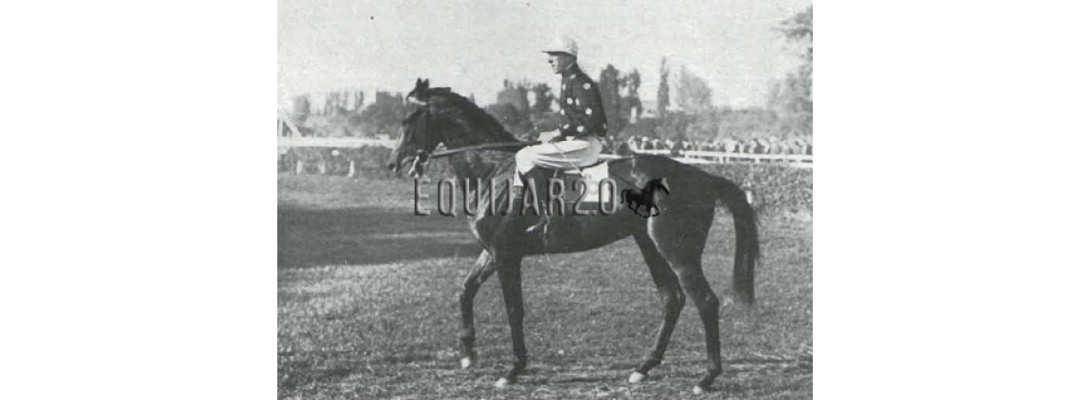 1929 Port Etienne Cimera IV