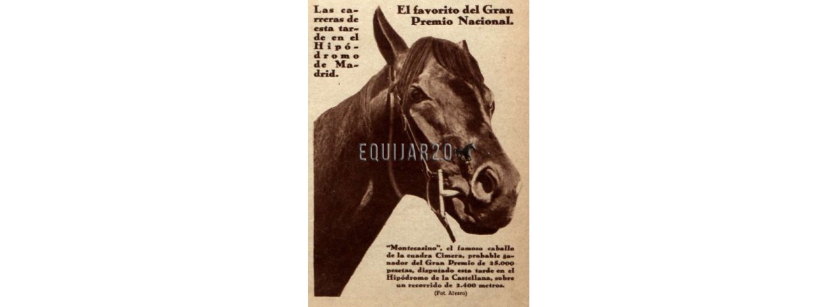 1930 Montecasino Cimera V