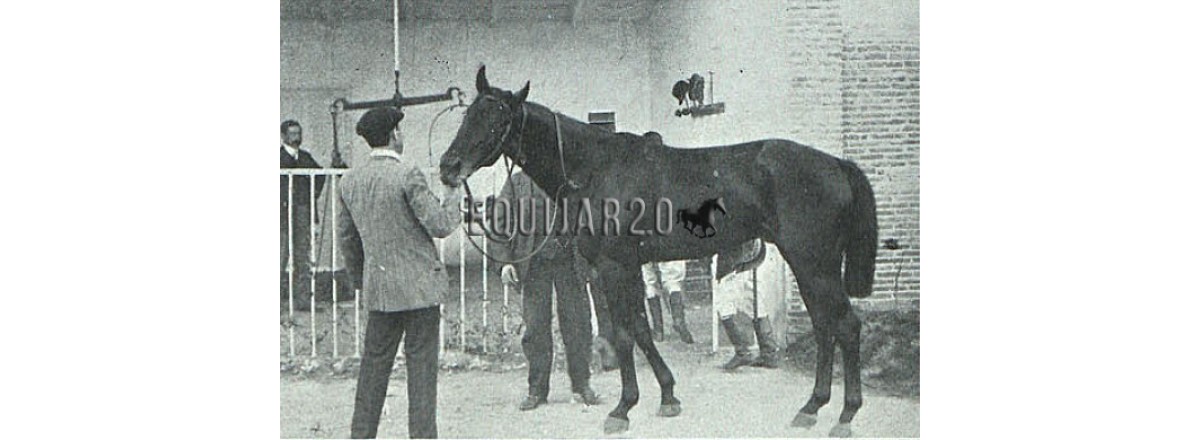 1910 Favorito Garvey V