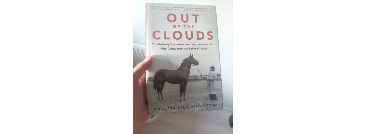 Out in the Clouds de Linda Carroll y David Rosner