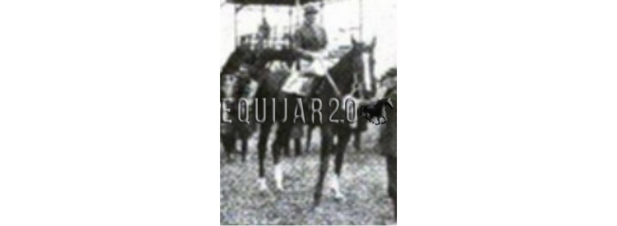 1920 Willow Marqués de San Miguel III