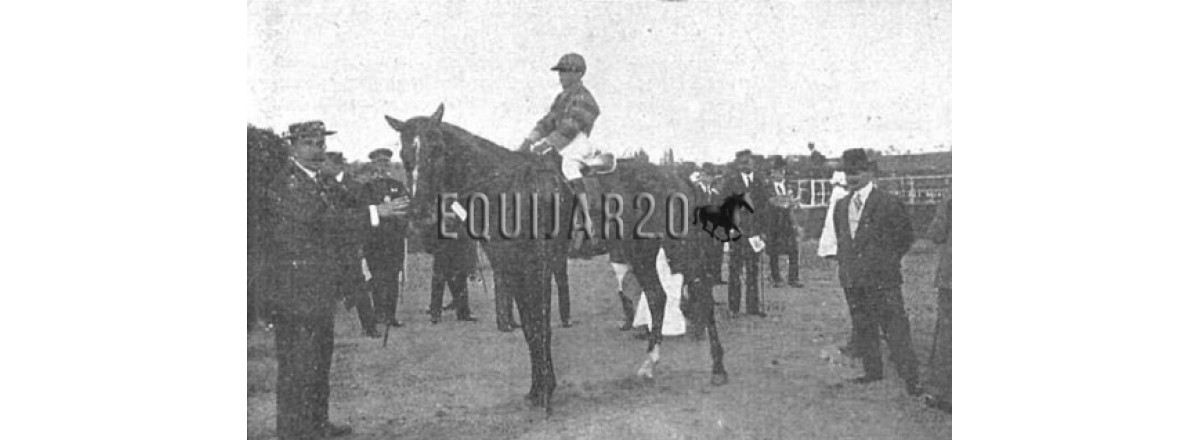 1909 Grub Martorell I