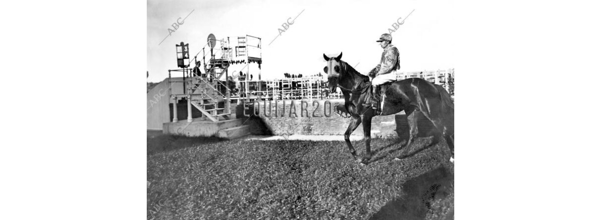 1911 Jobber Martorell II