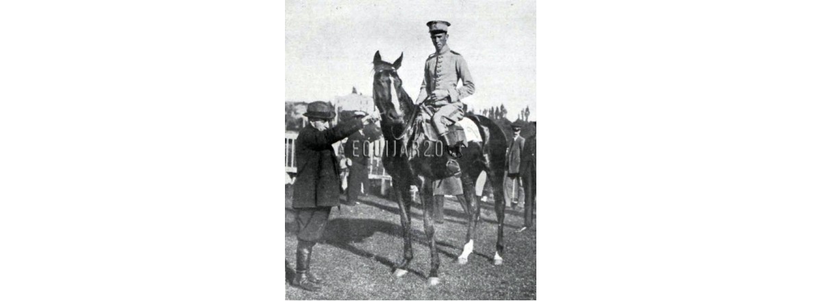 BABIECA – Macho Escuela de Equitación 1913. Spearmint-Sibola.