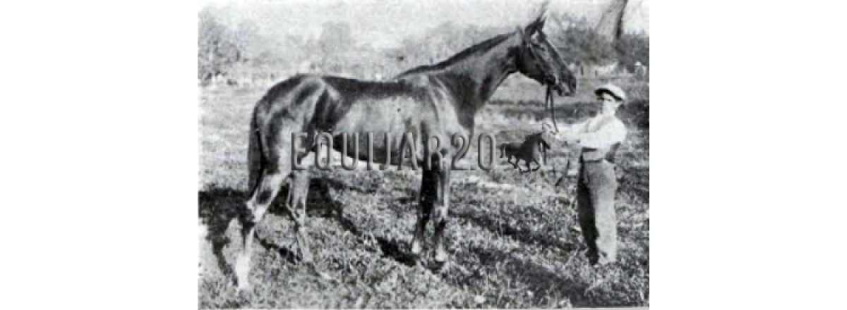 BLUE EYES –Marqués de Villamejor 1913 Minoru y Honeysweet.