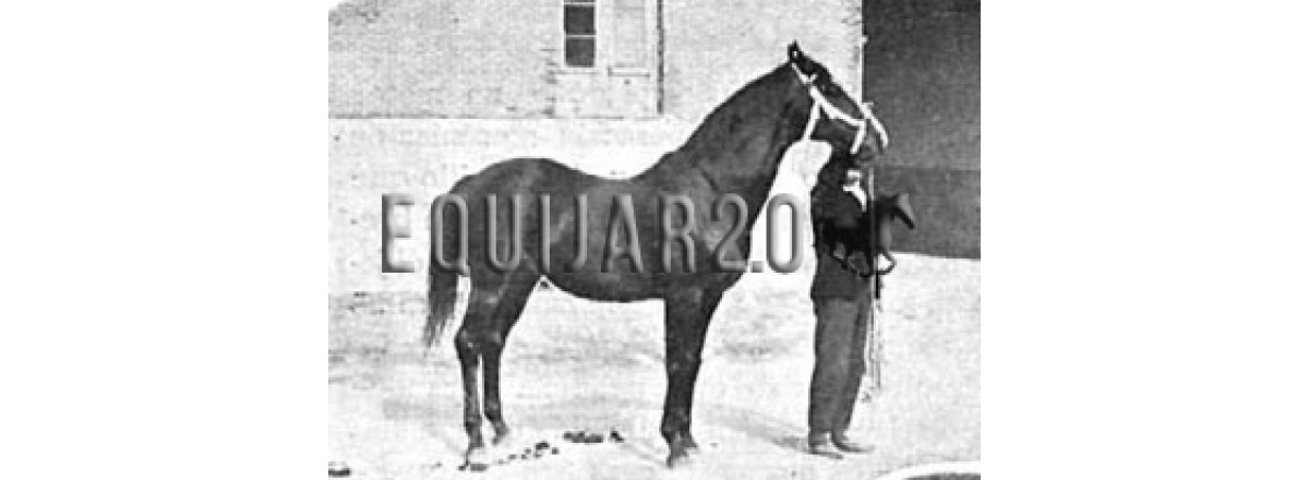 Lisbon el patriarca del Gran Premio Nacional