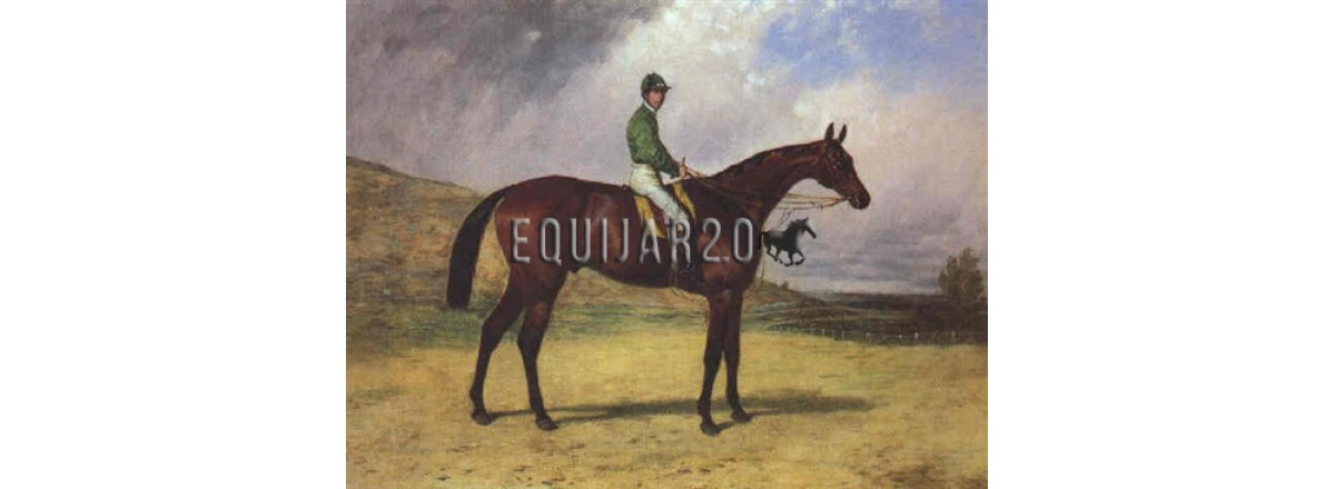 Fervacques ¿El caballo con mejor historial que ha corrido en España?