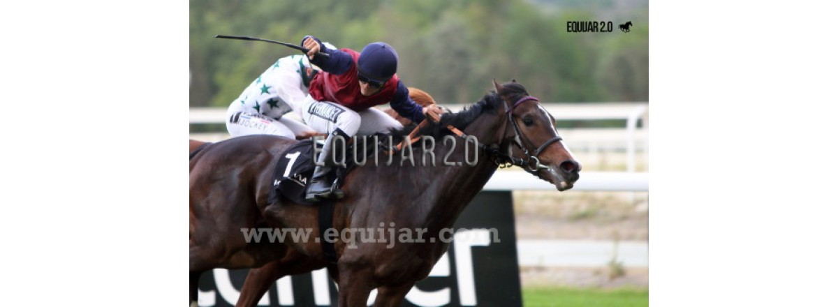 Informe IV: Kowalsky y los tres años.