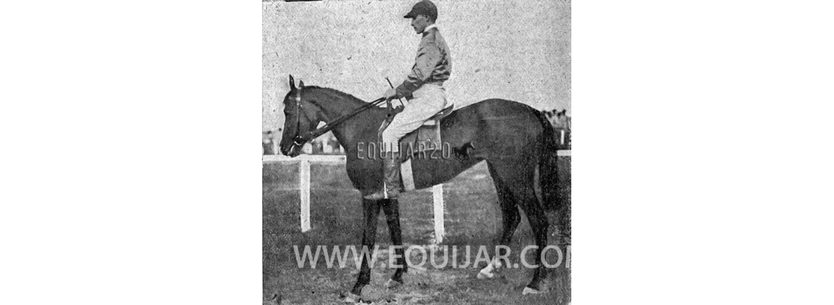 1902 Cintra Simon Castel