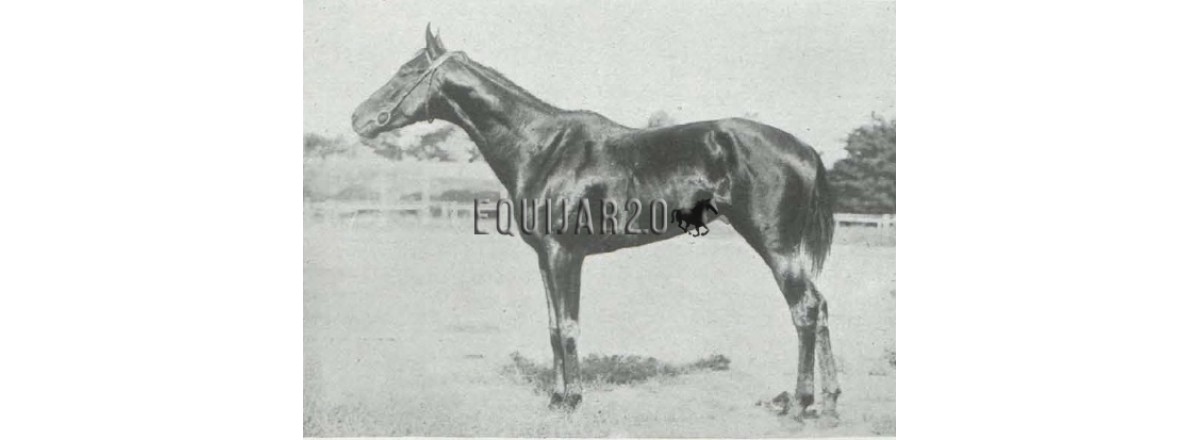 1925 Mussolini Barón de Velasco I