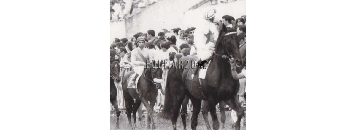 Ajustando cuentas: Ota