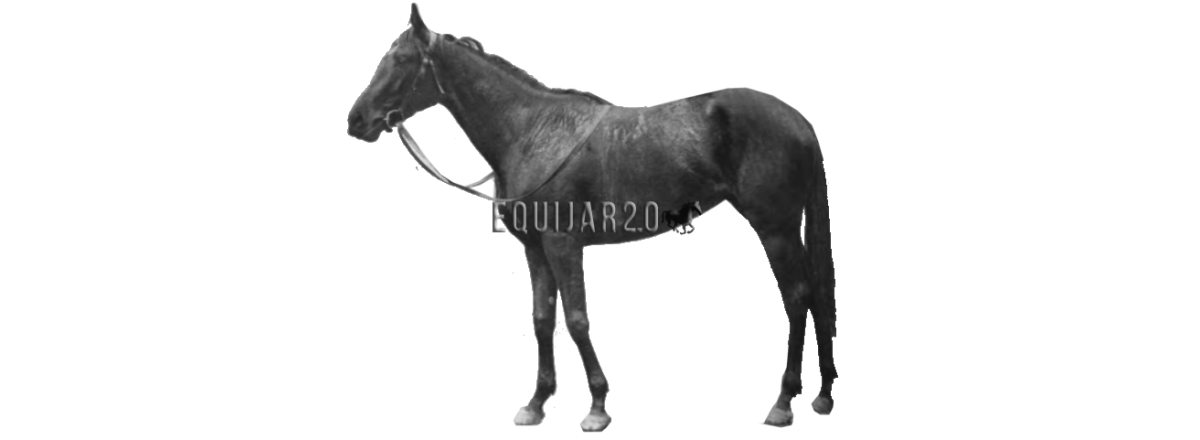 Rhodora, la más desgraciada ganadora de las 1000 Guineas