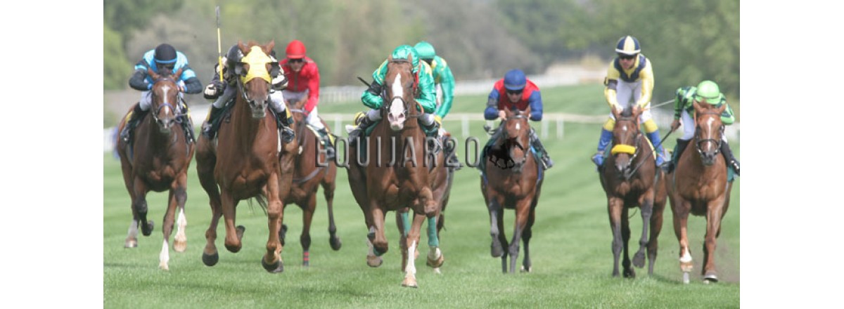 Programa para el domingo 29