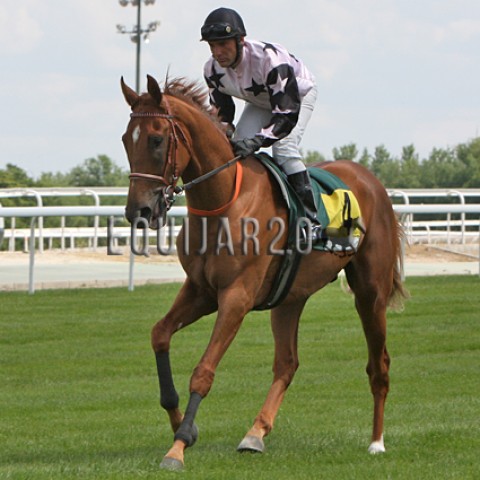 Heaven's Wonder (FR)