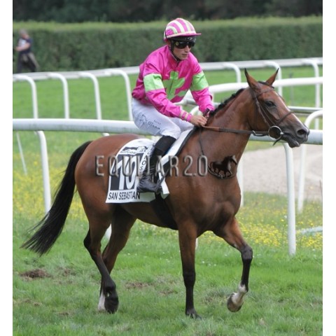 Fidji des Vialettes (PRA)