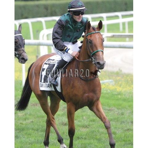 Mysshwan de Piboul (PRA)