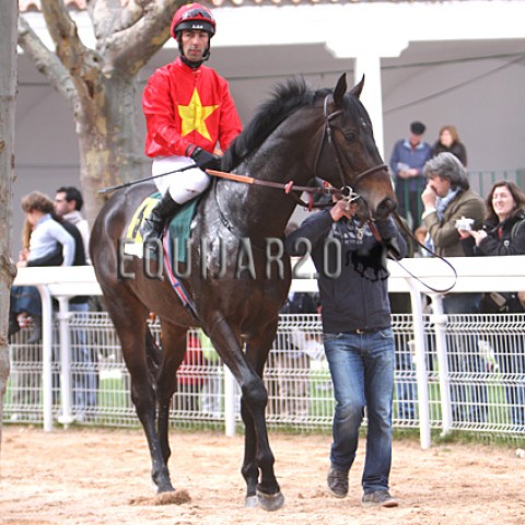 Monteagudo Ebro (IRE)