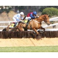 Carrera: P.GLYCERIUS (Vallas) | Caballo: Orlov