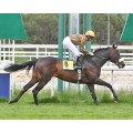 Carrera: P.Hector Licudi (Am-Ge) | Caballo: Karluv Most