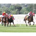 Carrera: P.Marca- MASPALOMAS | Caballo: El Sheriff | Monta: J.Horcajada