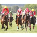 Carrera: P.Marca- MASPALOMAS | Caballo: El Sheriff | Monta: J.Horcajada