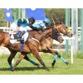Carrera: P.Quintuple Plus- Curva de El Pardo | Caballo: Burning Light