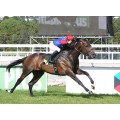 Carrera: P.FOLIE | Caballo: Abdel (FR)
