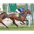 Carrera: P. RHEFFISSIMO | Caballo: Biladi