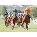 Carrera: P. ROQUE NUBLO | Caballo: Iria | Monta: O.Ortiz de U.