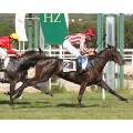 Carrera: P.Arqana-FRBC-PENTAGONA | Caballo: Poti | Monta: J.L.Martínez