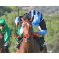 Carrera: P.VILLABLANCA | Caballo: Windsor Buoy