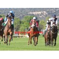 Carrera: P.VILLABLANCA | Caballo: Windsor Buoy | Monta: J.F.Alvarado