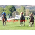 Carrera: P.CHACAL | Caballo: Campillo | Monta: J.Crocquevieille